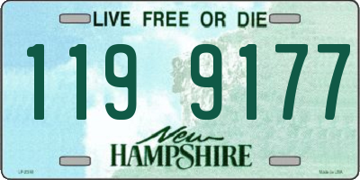 NH license plate 1199177