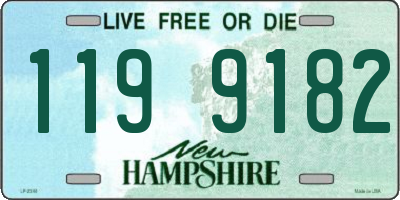 NH license plate 1199182