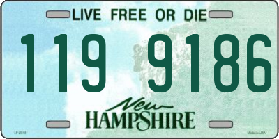 NH license plate 1199186