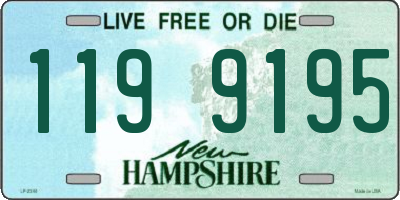 NH license plate 1199195