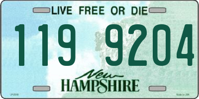 NH license plate 1199204