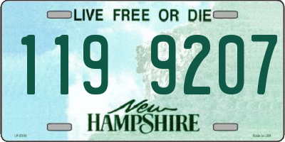 NH license plate 1199207