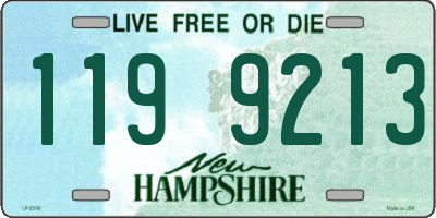 NH license plate 1199213