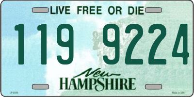 NH license plate 1199224