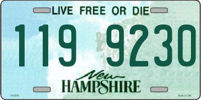 NH license plate 1199230