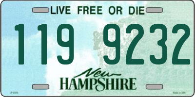 NH license plate 1199232