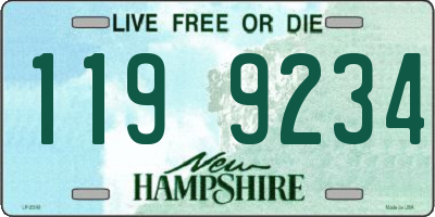 NH license plate 1199234