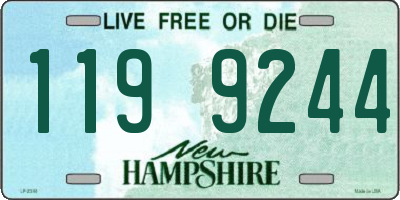 NH license plate 1199244
