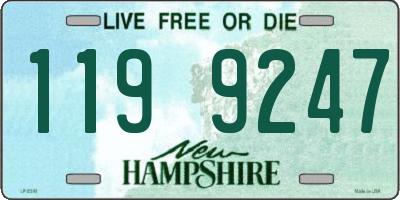 NH license plate 1199247