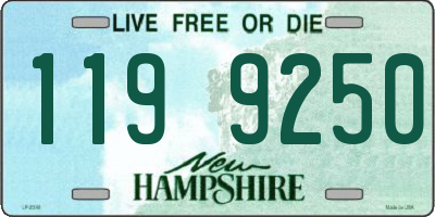 NH license plate 1199250
