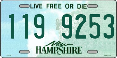 NH license plate 1199253