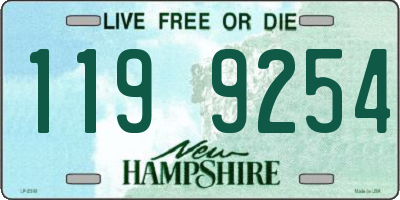 NH license plate 1199254