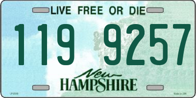 NH license plate 1199257
