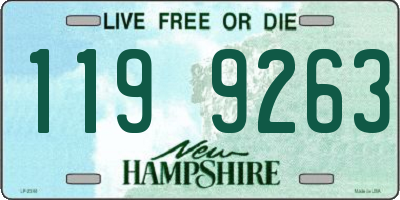 NH license plate 1199263