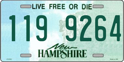 NH license plate 1199264