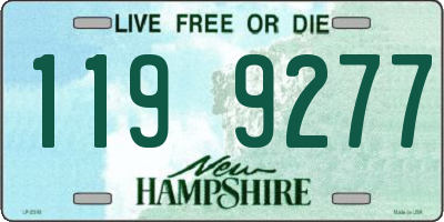 NH license plate 1199277