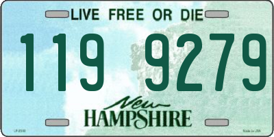 NH license plate 1199279