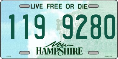 NH license plate 1199280