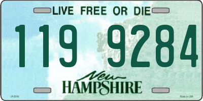 NH license plate 1199284