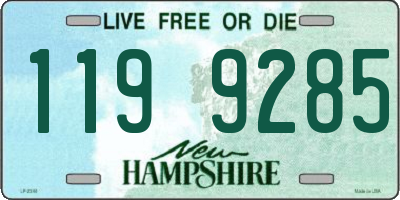 NH license plate 1199285