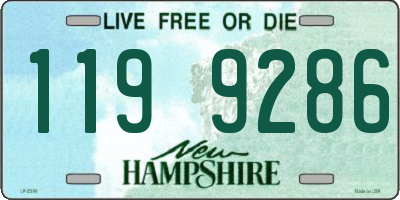 NH license plate 1199286