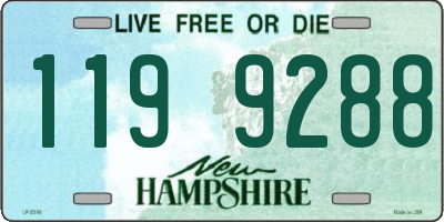 NH license plate 1199288