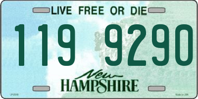 NH license plate 1199290