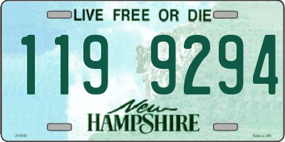 NH license plate 1199294