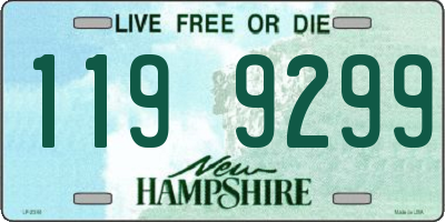 NH license plate 1199299