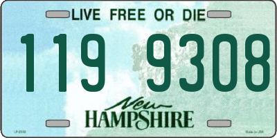 NH license plate 1199308