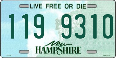 NH license plate 1199310