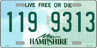 NH license plate 1199313