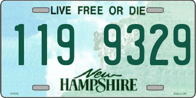 NH license plate 1199329