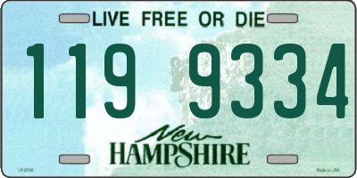 NH license plate 1199334