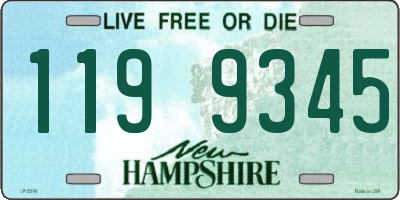 NH license plate 1199345