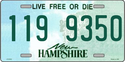 NH license plate 1199350