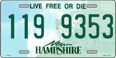 NH license plate 1199353