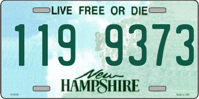 NH license plate 1199373