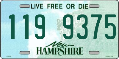 NH license plate 1199375