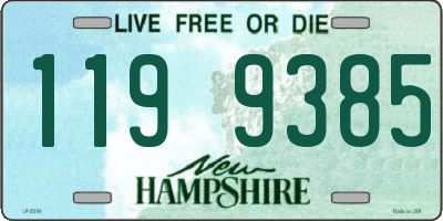 NH license plate 1199385