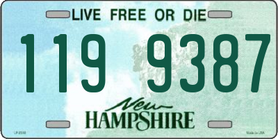 NH license plate 1199387