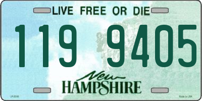 NH license plate 1199405