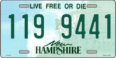 NH license plate 1199441