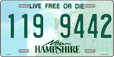 NH license plate 1199442