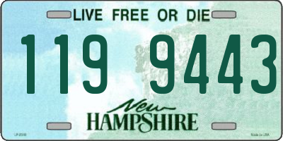 NH license plate 1199443