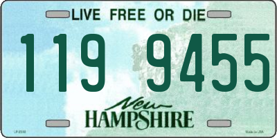 NH license plate 1199455