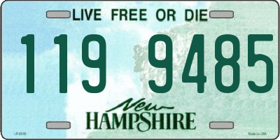 NH license plate 1199485
