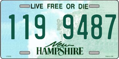 NH license plate 1199487