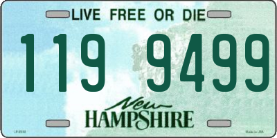 NH license plate 1199499