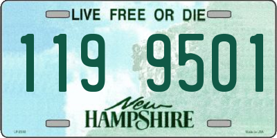 NH license plate 1199501